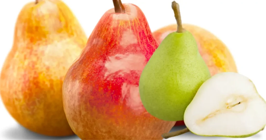 Pere Varietà Stagione Invernale e Caratteristiche