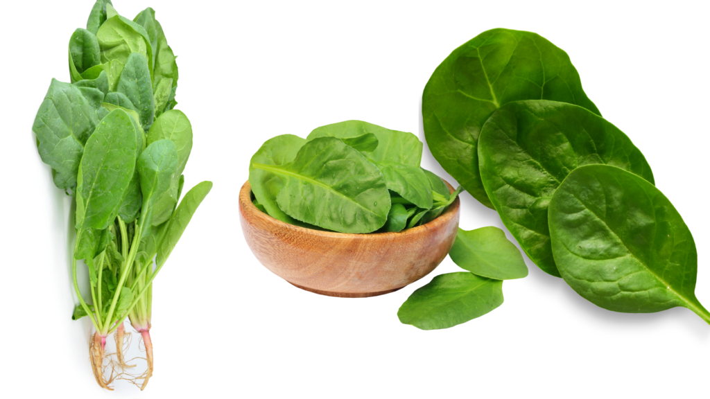 Spinaci Un Ortaggio Verde Ricco di Benefici