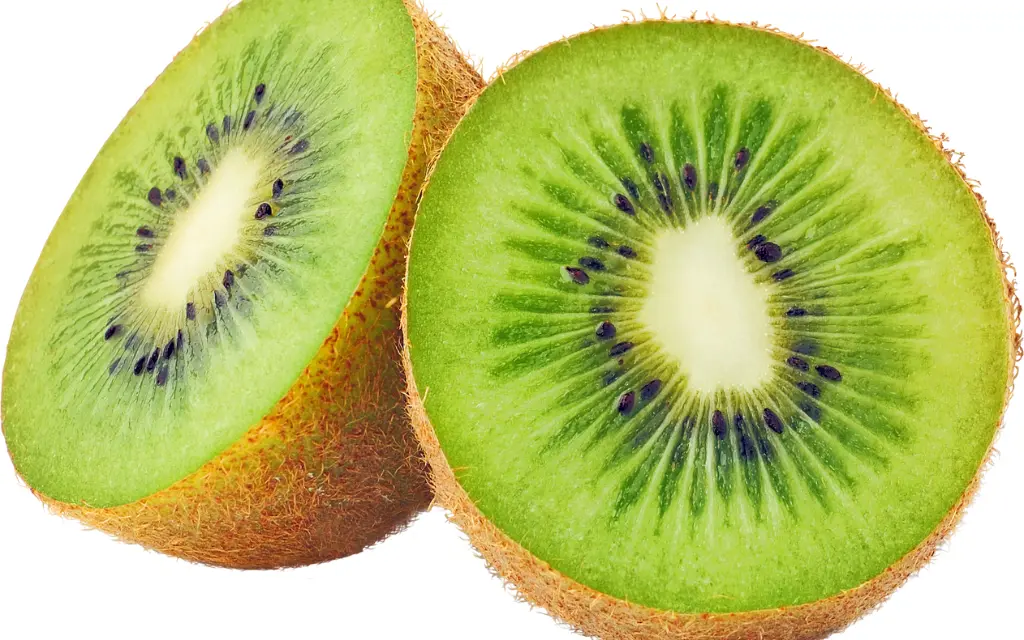 Coltivazione Kiwi_ Guida Completa per Principianti