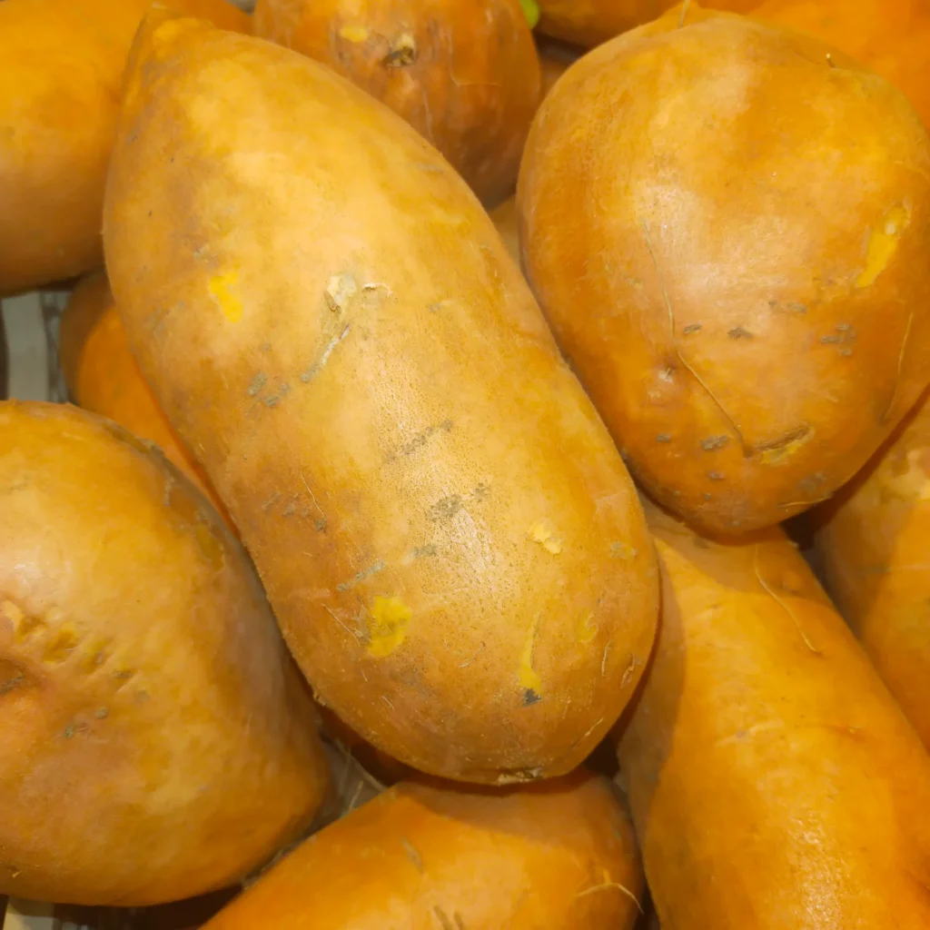 Le patate dolci sono ricche di fibre, che rallentano l'assorbimento dei nutrienti.