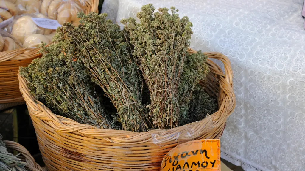 l'Origano Benefici e Proprietà per la Salute