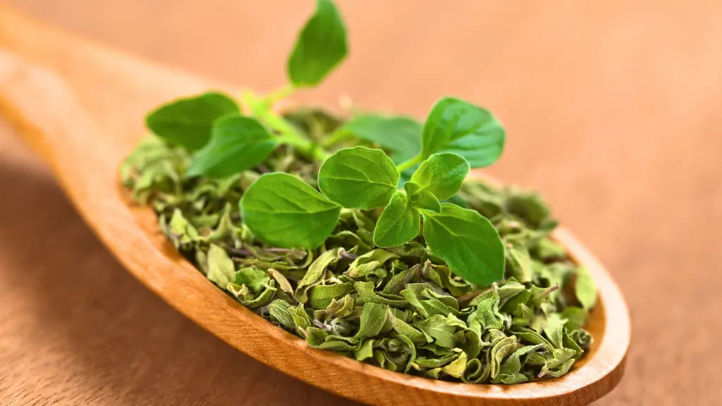 l'Origano Benefici e Proprietà per la Salute